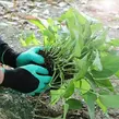 Obraz 5/10 - Odolné záhradné rukavice na sadenie so zosilnenými kopacími pazúrmi