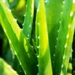 Obraz 4/5 - NATURTEX Aloe Vera extra mäkká a teplá zimná súprava, 140x200+70x90+40x50, v prepravnom vaku, biela