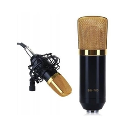 Klasický kondenzátorový mikrofón pre podcasty, s príslušenstvom a zlatou ochrannou mriežkou